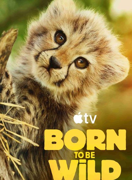 دانلود مستند 2025 Born to be Wild دوبله فارسی